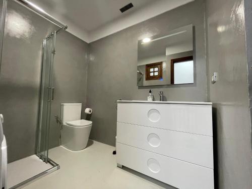 een badkamer met een wastafel, een douche en een toilet bij Magnifico chalet en Chayofa in Chayofa
