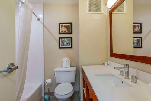 y baño con aseo, lavabo y espejo. en Comfort Inn Danvers - Boston North Shore, en Danvers