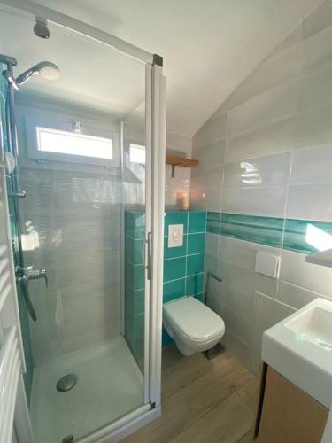une salle de bain avec une douche, des toilettes et un lavabo dans l'établissement Très beau studio près de la mer aux Issambres, aux Issambres