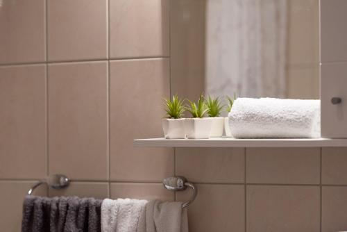 a bathroom with towels and plants on a shelf at Apartment Mali in Trogir