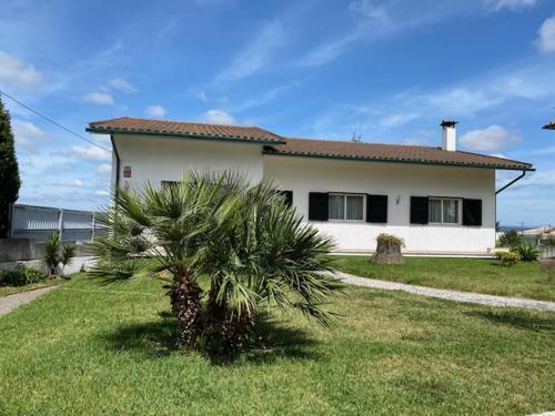 a small palm tree in front of a house at Casa Gorjão in Anadia