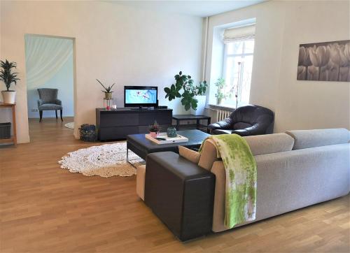 DT apartment, spacious and free parking