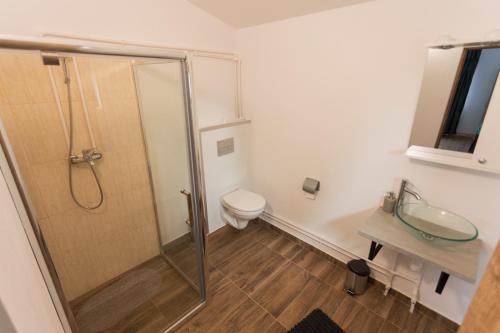 a bathroom with a shower and a toilet and a sink at Vila Haiduk in Runcu
