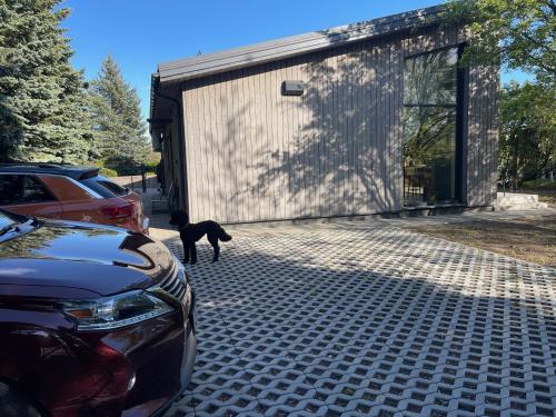 a black dog standing in front of a garage at Pine house in Zujūnai