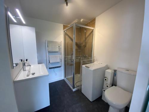 une salle de bain avec une douche, des toilettes et un lavabo dans l'établissement joli logement indépendant, à Mont-près-Chambord