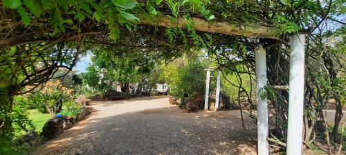 Giardino di Quinta do Paraiso