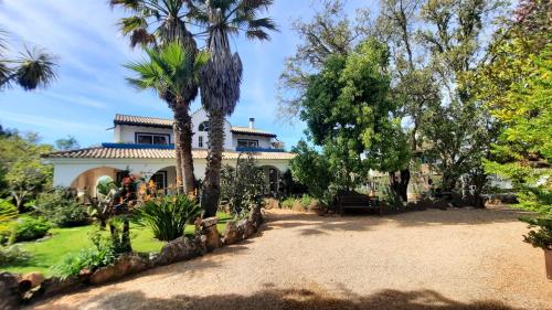 a house with palm trees in front of it at Quinta do Paraiso in São Teotónio