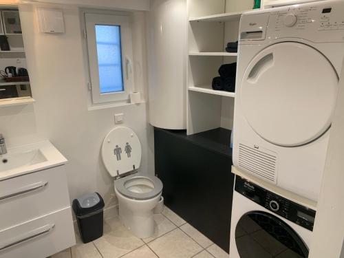 een badkamer met een toilet, een wastafel en een spiegel bij Sous-sol aménagé tout équipé avec jardin & parking in Berteaucourt-les-Dames