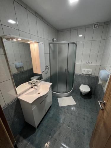 a bathroom with a shower and a sink and a toilet at Rooms Balkovec in Dragatuš