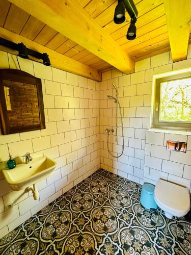 a bathroom with a sink and a toilet at Cisowe Wzgórze in Rowele