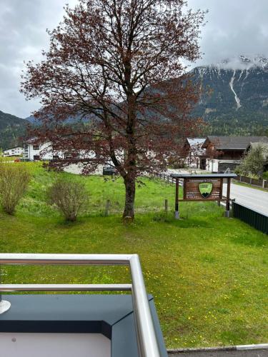 a view from the balcony of a house with a tree at Ferienwohnungen LODGE-B in Weissenbach am Lech