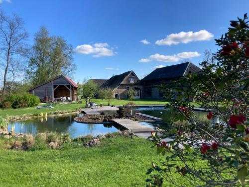 a house with a pond in front of it at Kleine Huisje in Ruinerwold