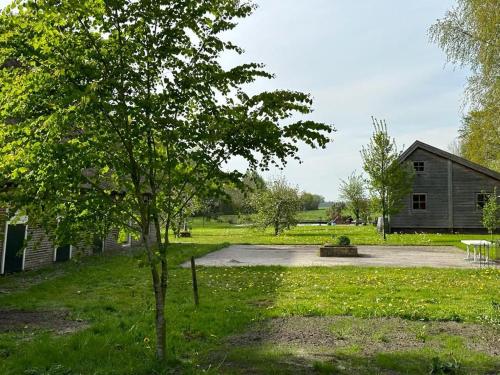 a tree in the middle of a yard with a building at Kleine Huisje in Ruinerwold