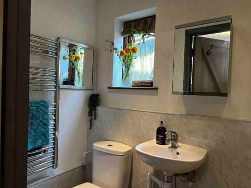 uma casa de banho com um WC, um lavatório e um espelho. em Quirky 1 bedroom barn on the river in Arundel em Arundel