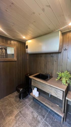 un bagno con wc e parete in legno di Little Amber a Bernāti