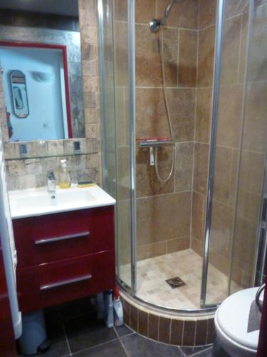 un baño con ducha y lavabo en Mas Provençal, en Le Lavandou