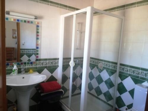 a bathroom with a shower and a sink at Chambres D'Hôte in Bensafrim