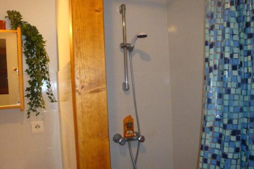 a shower in a bathroom with a shower curtain at Les Perry, le calme et la nature à deux pas de Saint Léon in Peyzac-le-Moustier