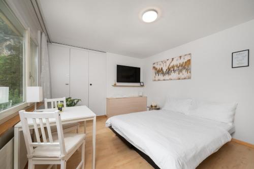 a bedroom with a bed and a desk and a tv at City Studio in Interlaken mit Parkplatz in Interlaken