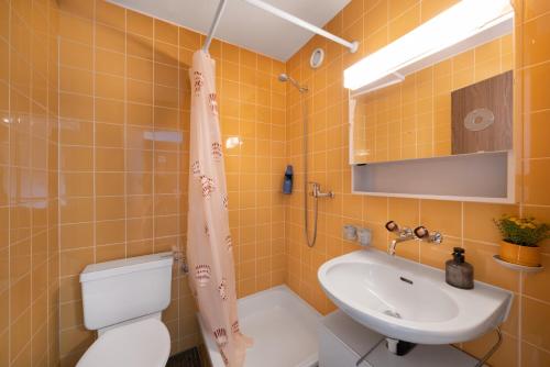 a bathroom with a toilet and a sink at City Studio in Interlaken mit Parkplatz in Interlaken