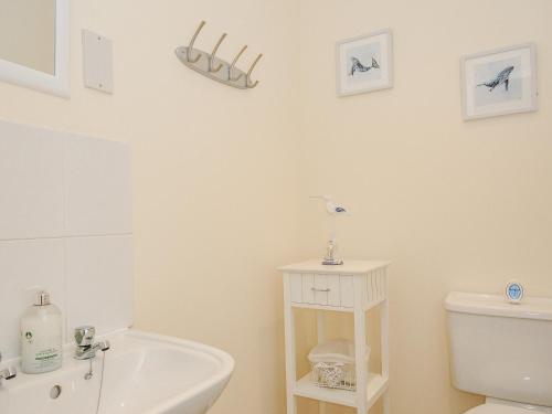 a bathroom with a white toilet and a sink at Woodmans Cottage in Falmouth
