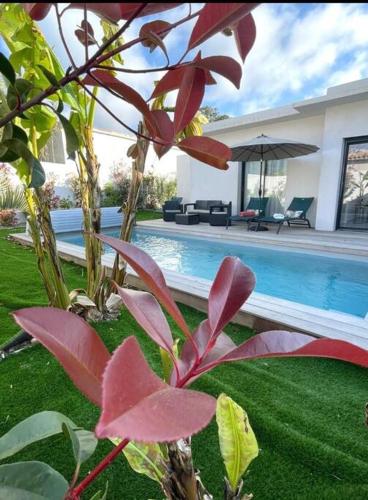 Fotografia z galérie ubytovania Superbe villa avec piscine privative chauffée v destinácii Lecci