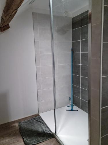 a shower with a glass door in a bathroom at Tranquillitude au Moulin Bouquet in La Chapelle-aux-Chasses