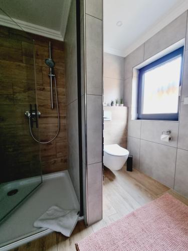 a bathroom with a shower and a toilet at Ferienhaus am Lanzer See in Lanze