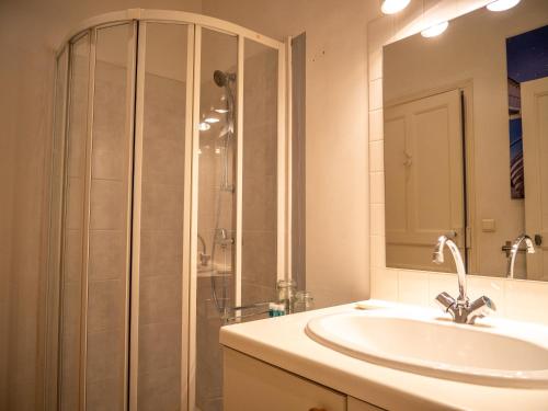 La salle de bains est pourvue d'un lavabo et d'une douche. dans l'établissement Gîtes du Hameau Baylesse, à Saint-Jean-dʼAigues-Vives