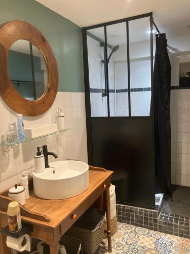 a bathroom with a sink and a mirror and a shower at La Treille Muscate in Tannay