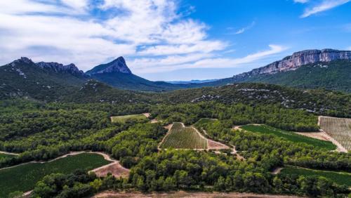 Φυσικό τοπίο κοντά σε αυτό το διαμέρισμα