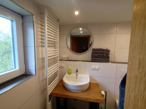 a bathroom with a white sink and a mirror at Ferienhaus 1893 Frielendorf in Frielendorf