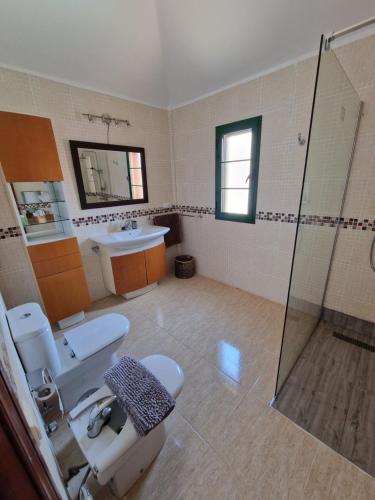 a bathroom with a shower and a toilet and a sink at TaraVilla in Tarajalejo