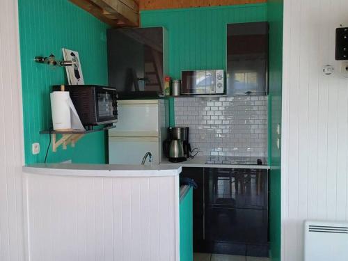 a kitchen with green walls and a white counter top at La Maison Bleu du Lac de Céline in Giffaumont