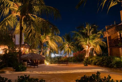 a beach at night with palm trees and lights at Moriá Eco Lodge in Icaraí