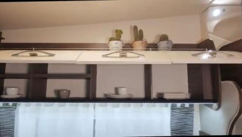 a counter with two sinks and cactuses on it at Portugals Infinity - AutoCaravana Luxo in Faro