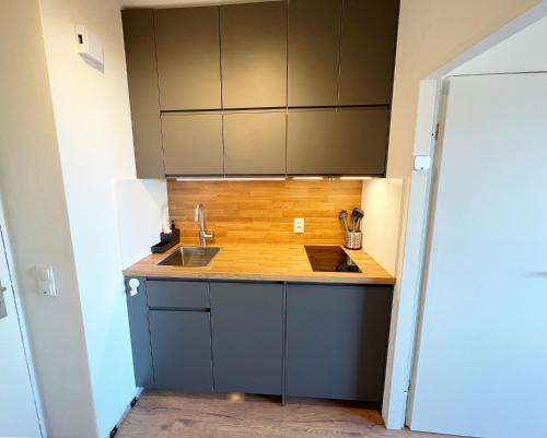 a kitchen with a sink and a counter top at Burgtiefe Südstrand "Haven Stuuv" in Fehmarn