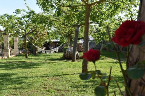 a red flower in a yard with trees and a hammock at Tenuta Nonno Carmine in Porto Cesareo