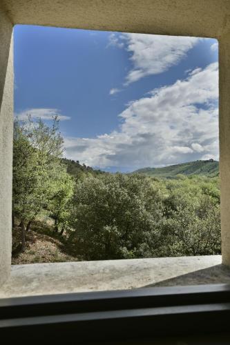 a window with a view of a field of trees at La maison des collines in Allemagne-en-Provence