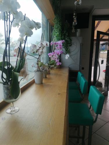 a room with a row of green chairs and flowers at Albergo Le 2 Rose in San Severino Marche