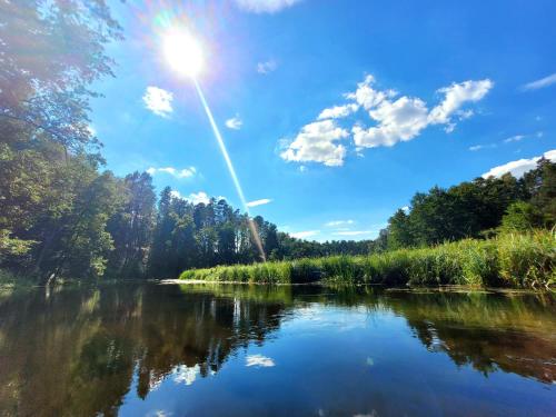 a river with the sun reflecting in the water at Balans nad Jeziorem in Ślesin