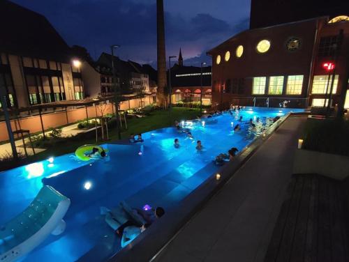 Swimming pool sa o malapit sa Appartement 6 personnes Strasbourg proche centre ville & parking