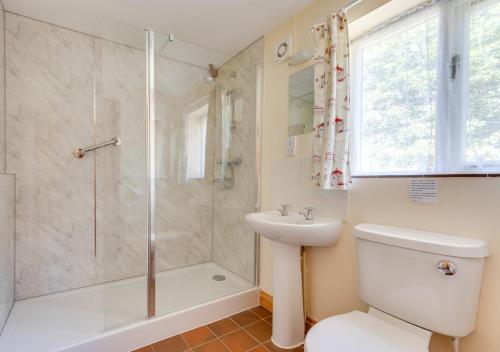 a bathroom with a shower and a toilet and a sink at Wayfarers Cottage in Mattishall