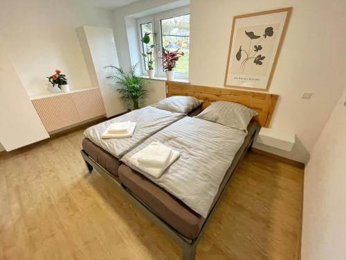 a bedroom with a bed in a room with a window at Haus Wehlen in Stadt Wehlen