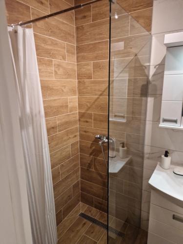 ein Bad mit einer Dusche und einer Glastür in der Unterkunft Stan na dan Kod Pabla in Sombor