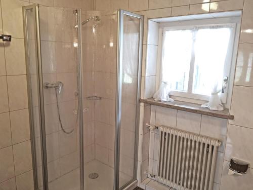 una doccia con porta in vetro in bagno di Pension Brucker a Aschau im Chiemgau