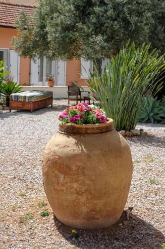 a large vase filled with flowers in a yard at Villa Marina Sant'Elia in Santa Flavia