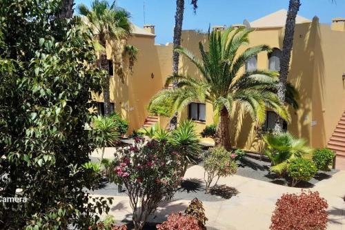 Apartment Cumbre Vieja Fuerteventura
