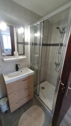 een badkamer met een douche, een wastafel en een spiegel bij Hôtel du Roc in Castellane