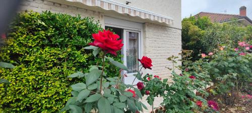 a house with a red rose in front of a door at Le Petit Paradis in Brive-la-Gaillarde